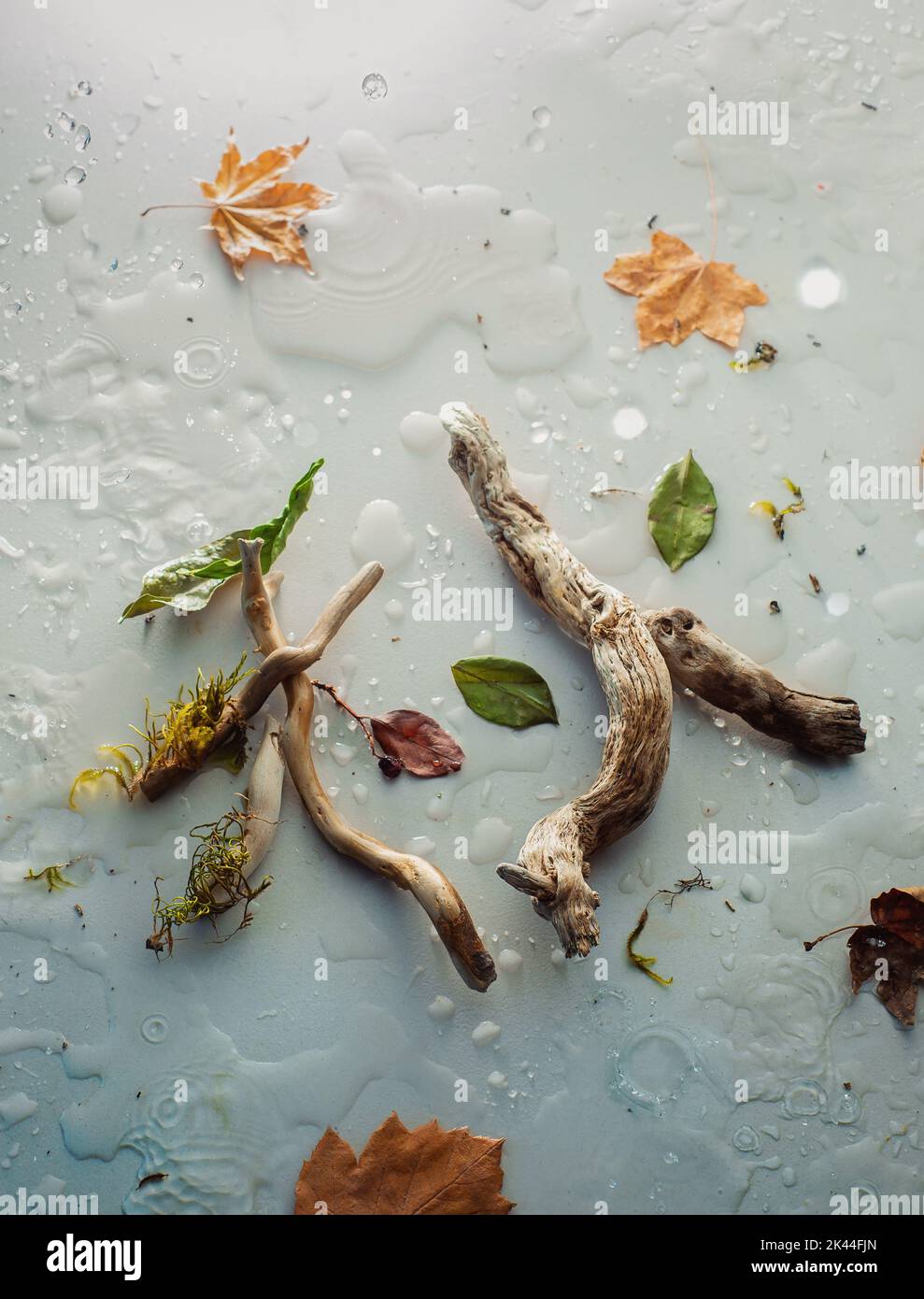 Autunnale hobby, kanji AUTUNNO disposti da ramoscelli e foglie, la vita ferma con geroglifico giapponese, haiku concetto Foto Stock