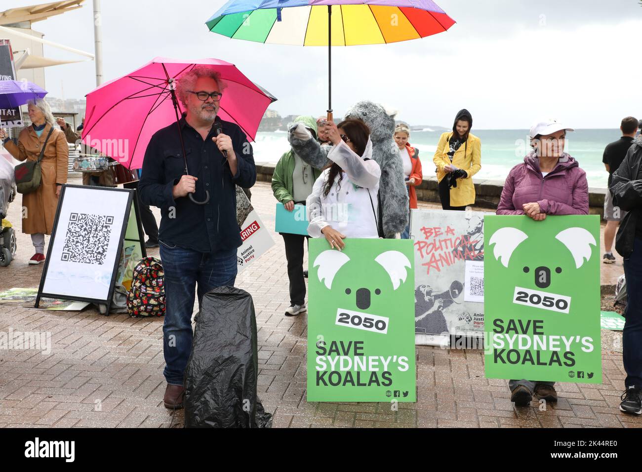 Sydney, Australia. 30th settembre 2022. Il giorno di Save the Koala, i manifestanti hanno organizzato un raduno per chiedere un intervento da parte del ministro dell'ambiente James Griffin. Dicono che dovrebbe fare il suo lavoro e salvare i koala dall'estinzione. I dimostranti dicono che dopo un totale stimato di 60.000 koala bruciati vivi negli incendi boschivi dell'estate nera, dopo che la bonifica della terra è aumentata del 60% nel NSW dal 2017, dopo che i koala sono stati (finalmente) elencati come in pericolo – il nostro ministro dell'ambiente e membro di Manly continua a dire e non fa nulla. Nella foto: Manifestanti a Manly Beach prima della marcia. Credit: Richard Milnes/Alamy Live News Foto Stock