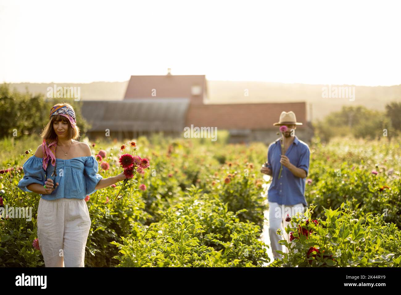 Uomo e donna raccogliere fiori in fattoria all'aperto Foto Stock
