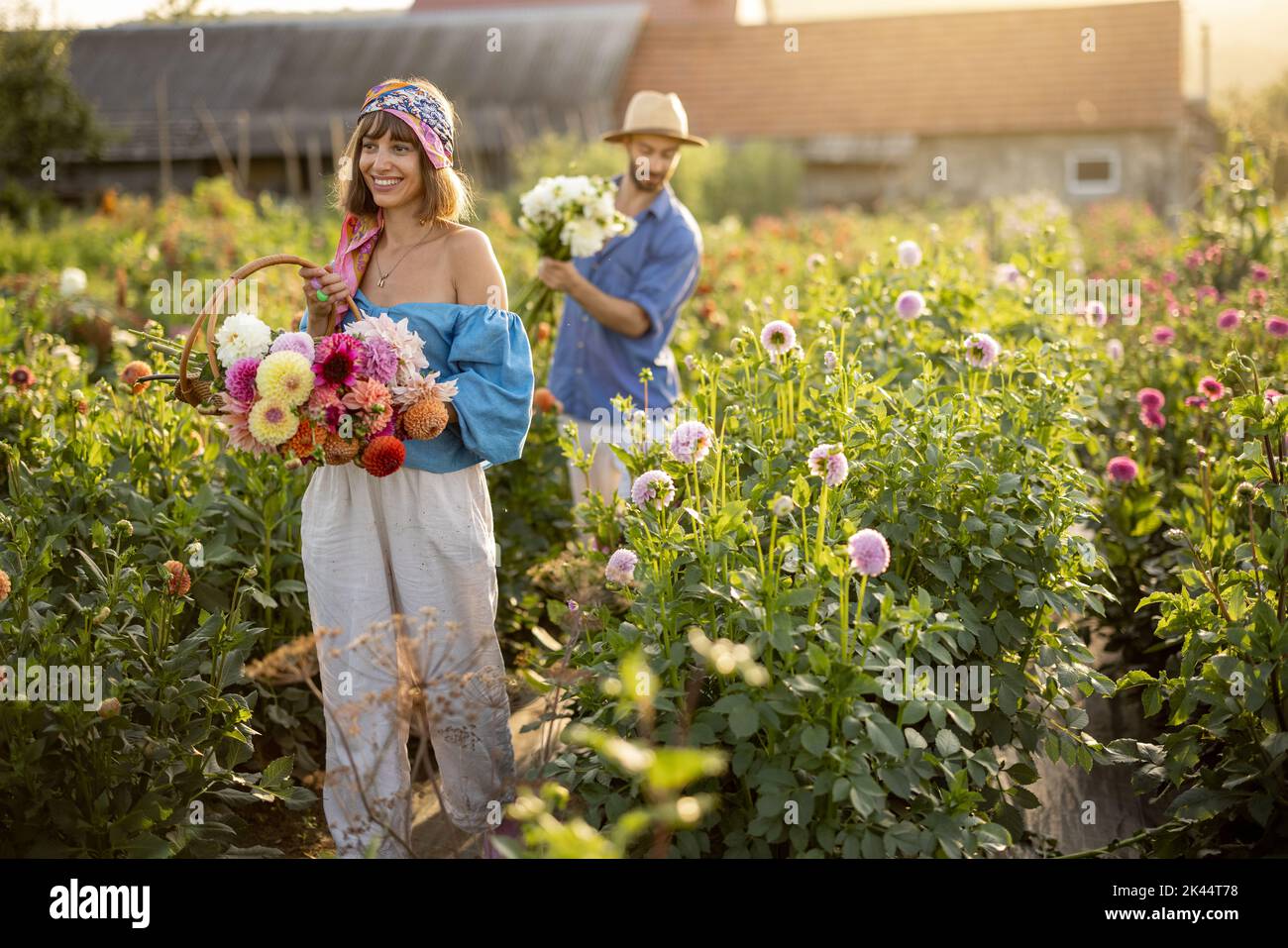 Uomo e donna raccogliere fiori in fattoria all'aperto Foto Stock