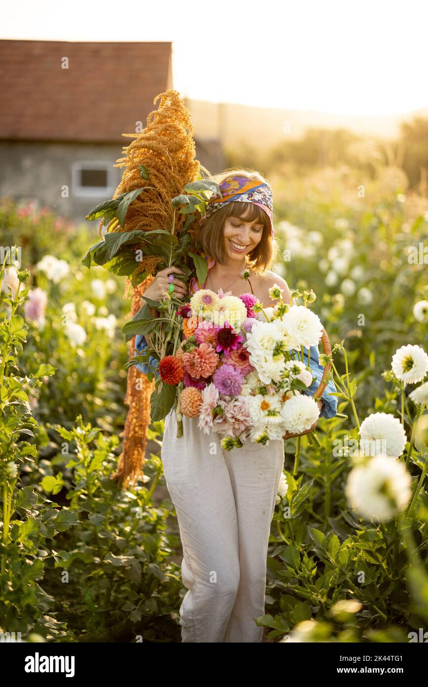 Donna con un sacco di fiori in fattoria dahlia all'aperto Foto Stock