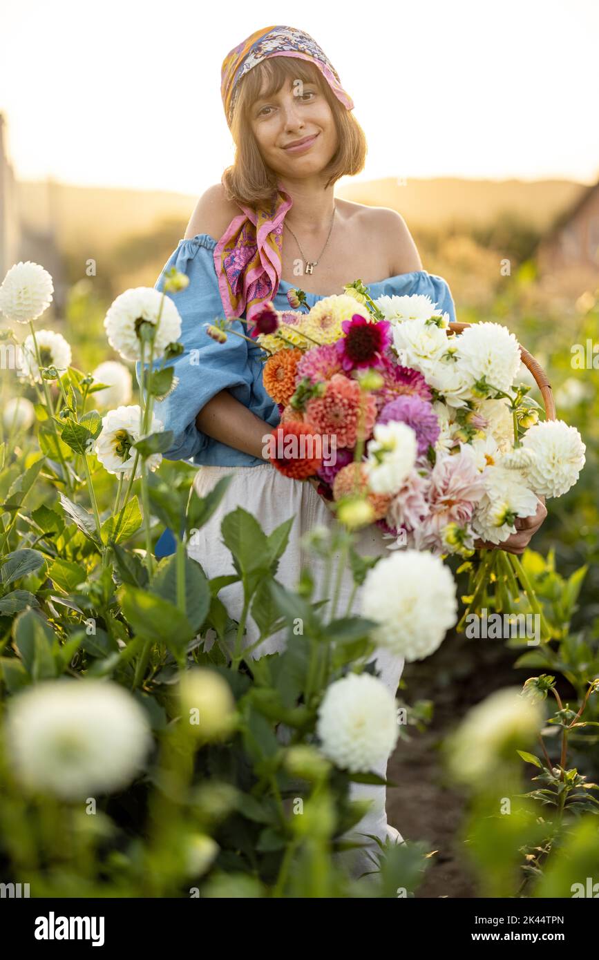 Donna con un sacco di fiori in fattoria dahlia all'aperto Foto Stock