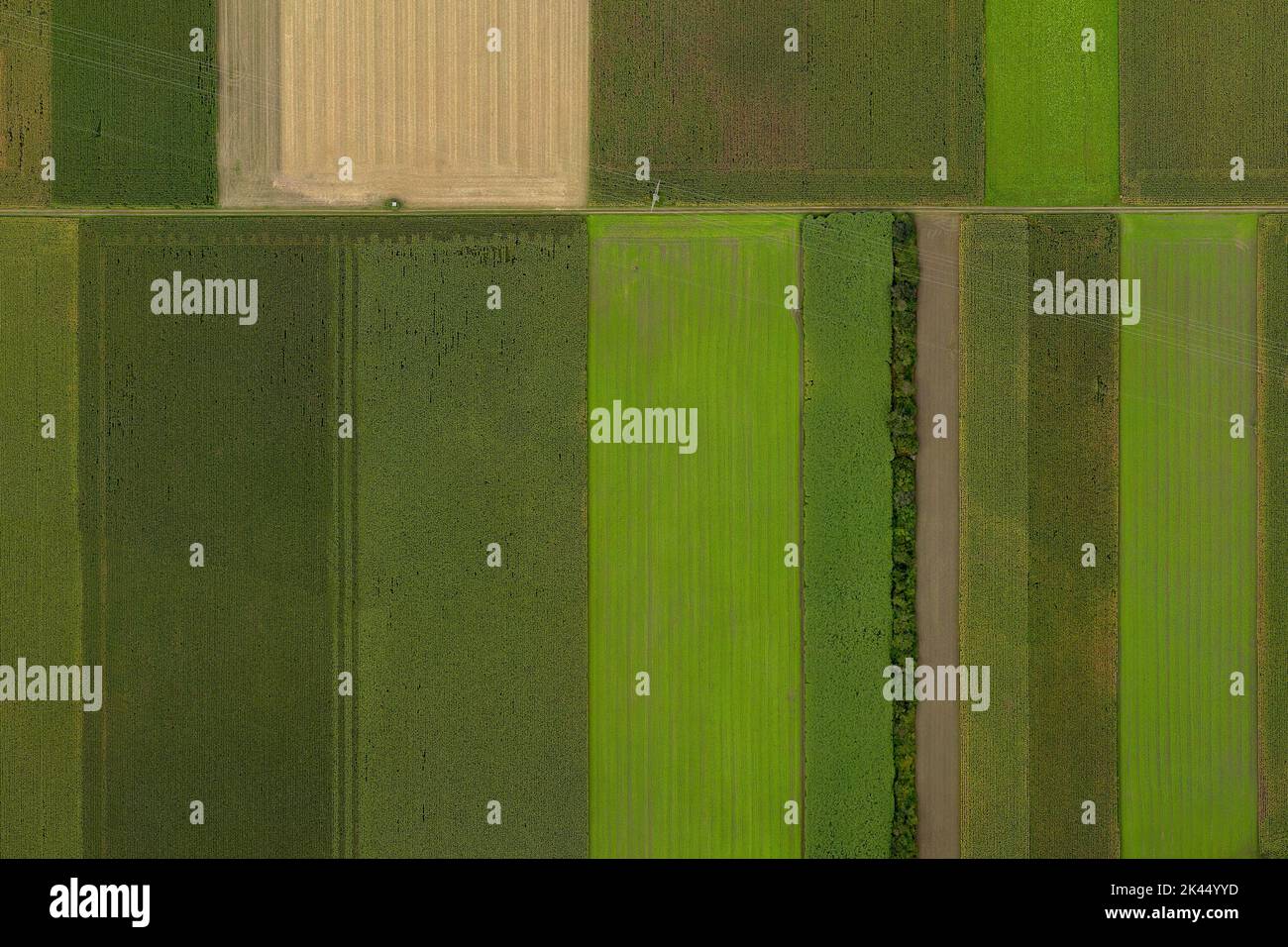 Veduta aerea di un drone che mostra terreni coltivati attraversati da una linea elettrica Foto Stock