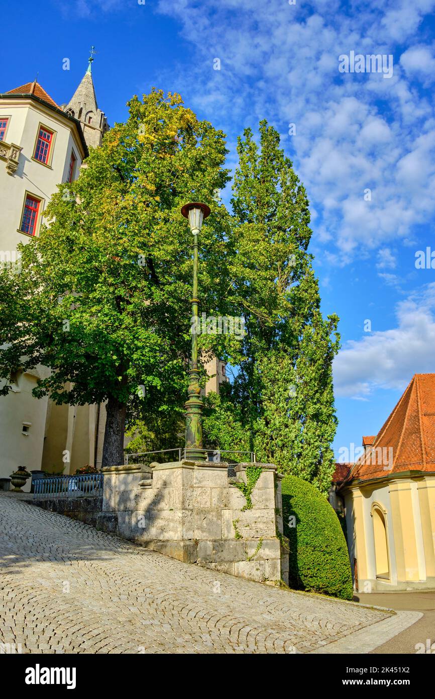 Salita al castello di Sigmaringen, Baden-Wurttemberg, Germania, Europa. Foto Stock