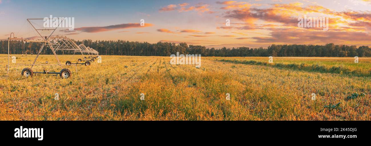 Vista panoramica del cielo al tramonto sopra il pivot dell'irrigazione. Macchina per irrigazione in campo agricolo con germogli giovani, piante verdi su terreno Nero. Agricoltura Foto Stock
