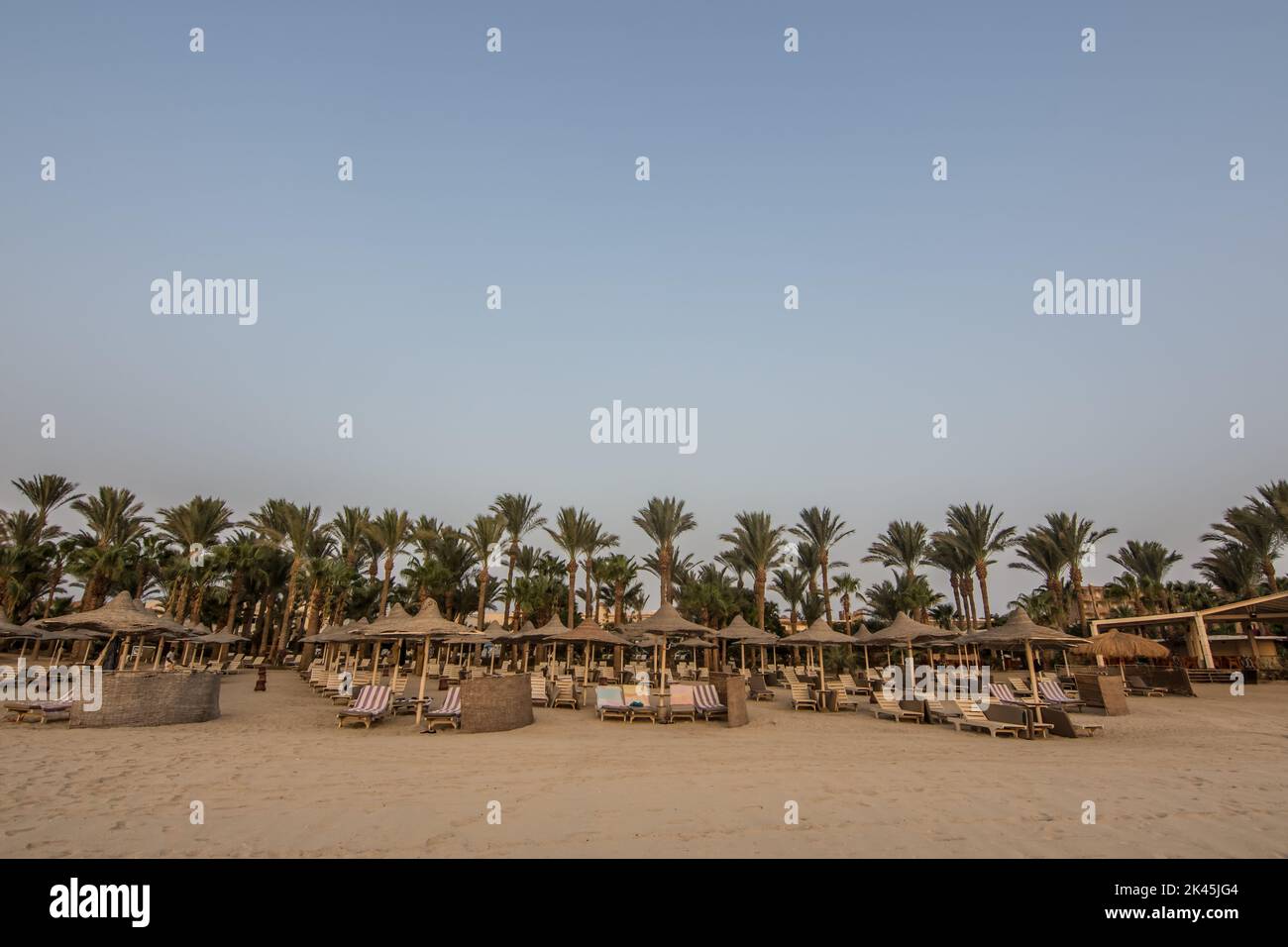 vista a molti ombrelloni in spiaggia la mattina in egitto Foto Stock