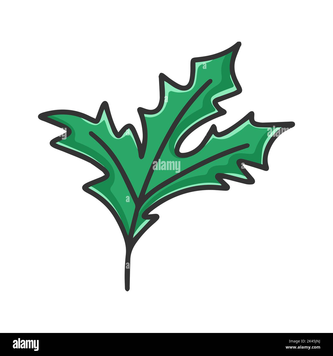 Holly clipart cartone animato. Tradizionale natale decorazione sacra isolato vettore illustrazione. Botanical ramo frondoso per il design Illustrazione Vettoriale