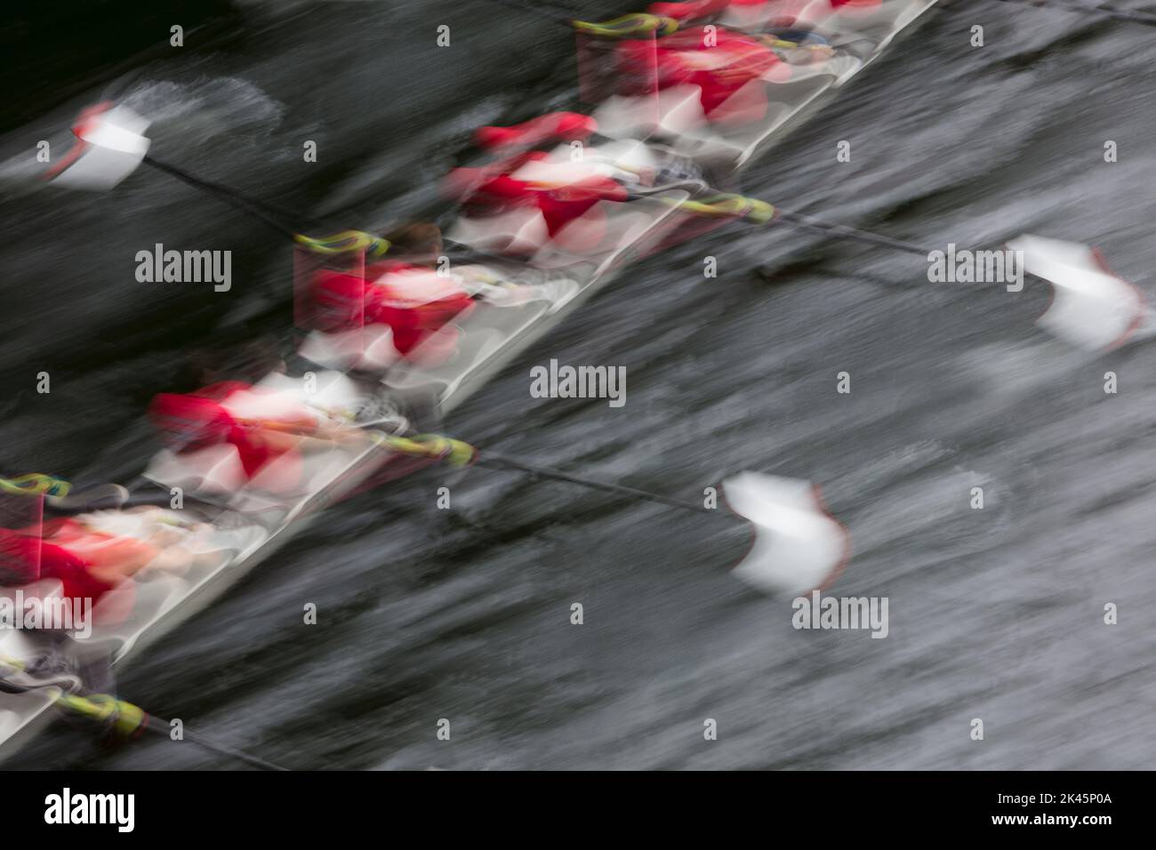 Vista dall'alto di un equipaggio in voga in una barca a scafo octuple da corsa, vogatori, sfocatura del movimento. Foto Stock