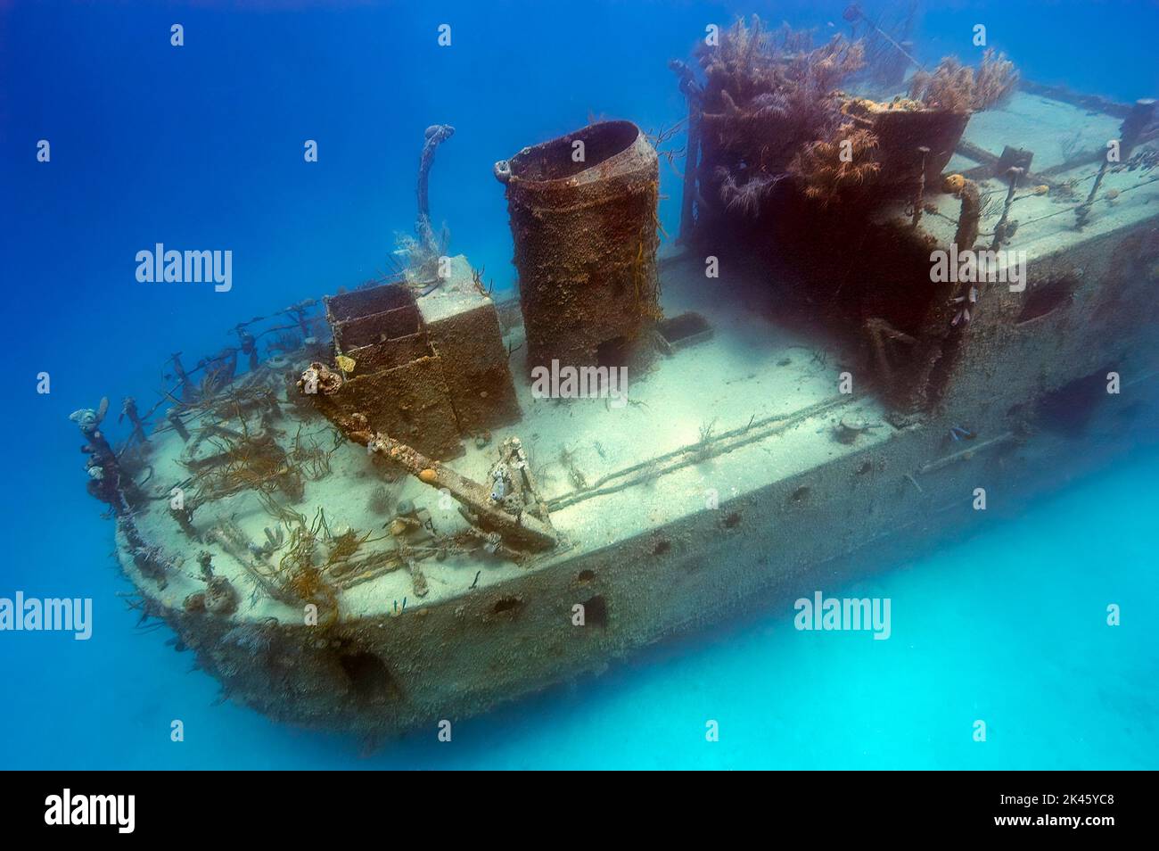 Il relitto del Principe Alberto a Roatan fu un'imbarcazione passeggeri per anni fino a quando fu abbandonata e trasformata in un'attrazione per immersioni subacquee. Foto Stock