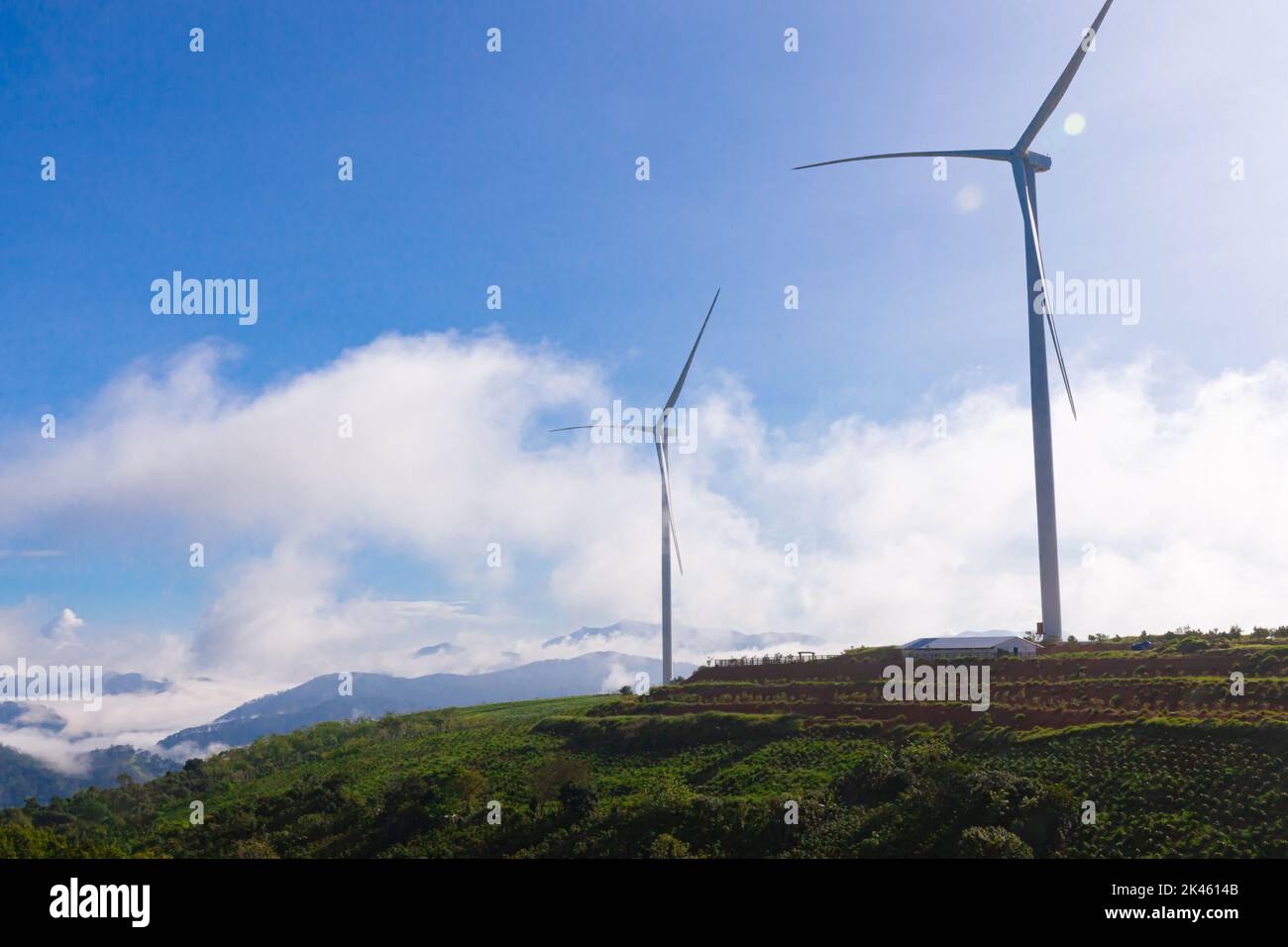Turbine eoliche a energia rinnovabile mulino isolato sul bel cielo blu, nuvole bianche e sui campi di tè nella città di da Lat, Lam Dong, Viet Nam Foto Stock