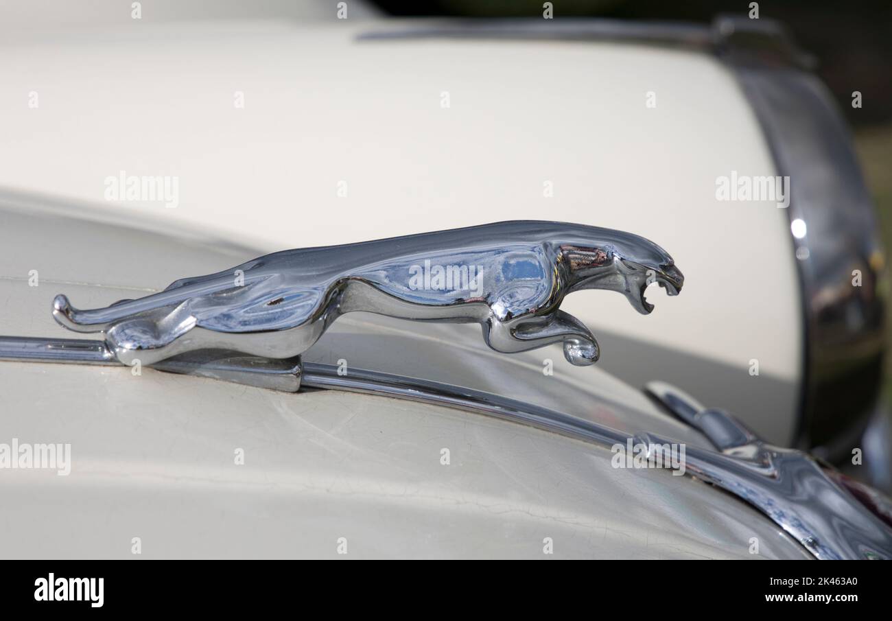 Emblema argento per auto Jaguar, Three Counties Showground, Great Malvern, UK Foto Stock