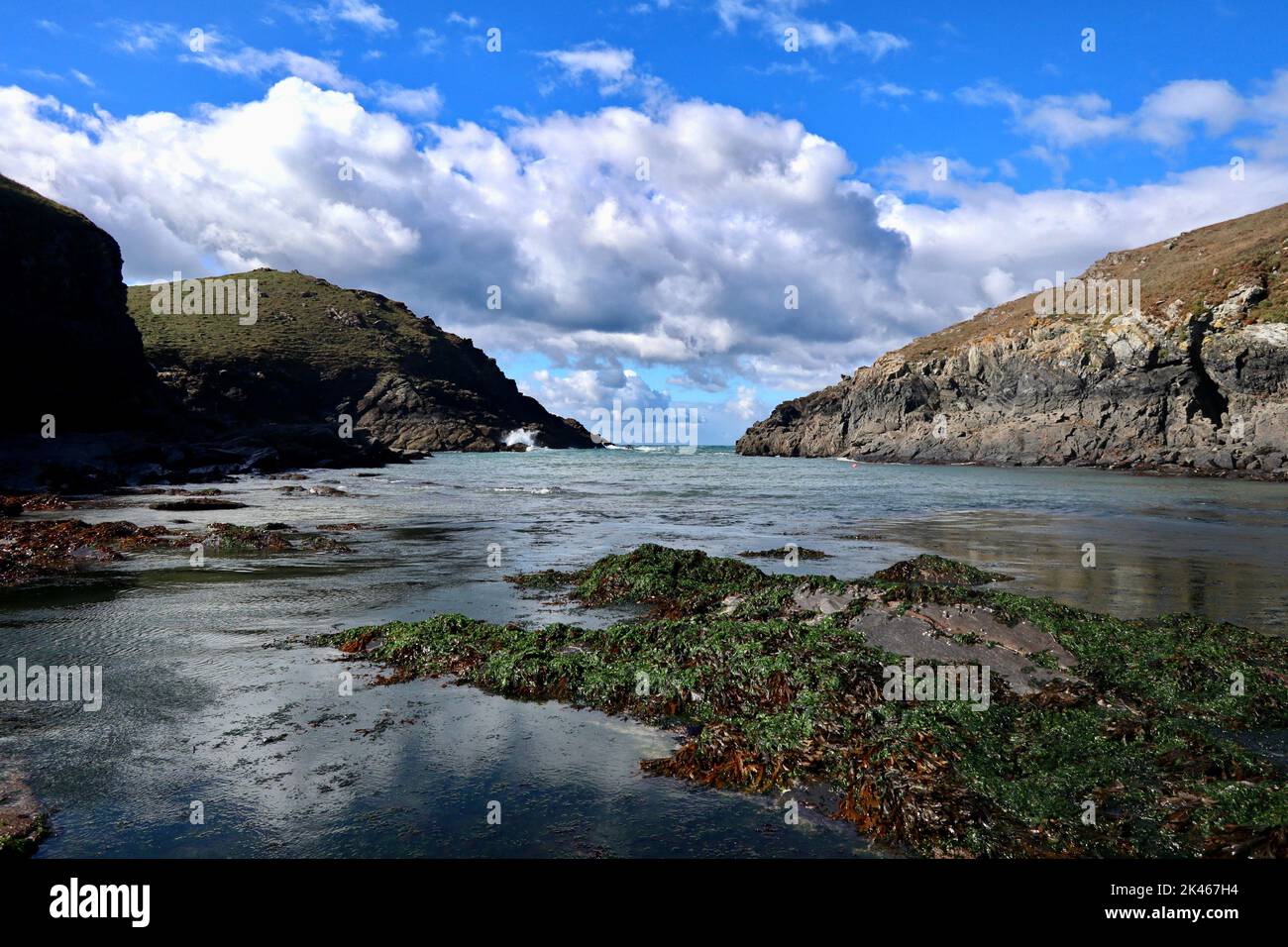 Port Quin al livello dell'acqua bassa in una marea primaverile. Foto Stock