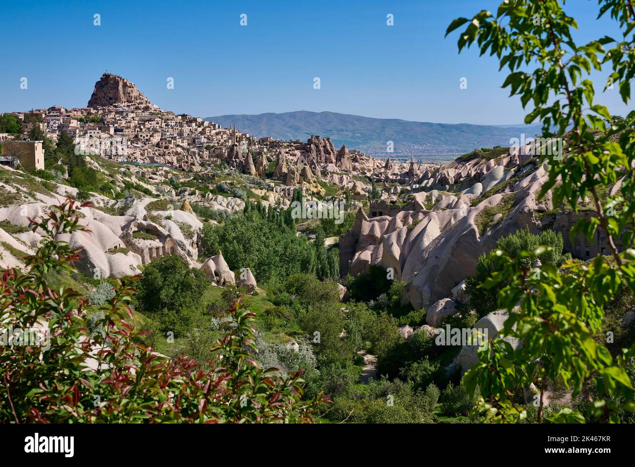 Ammira la valle dei Pigeon, Uchisar, Cappadocia, Anatolia, Turchia Foto Stock