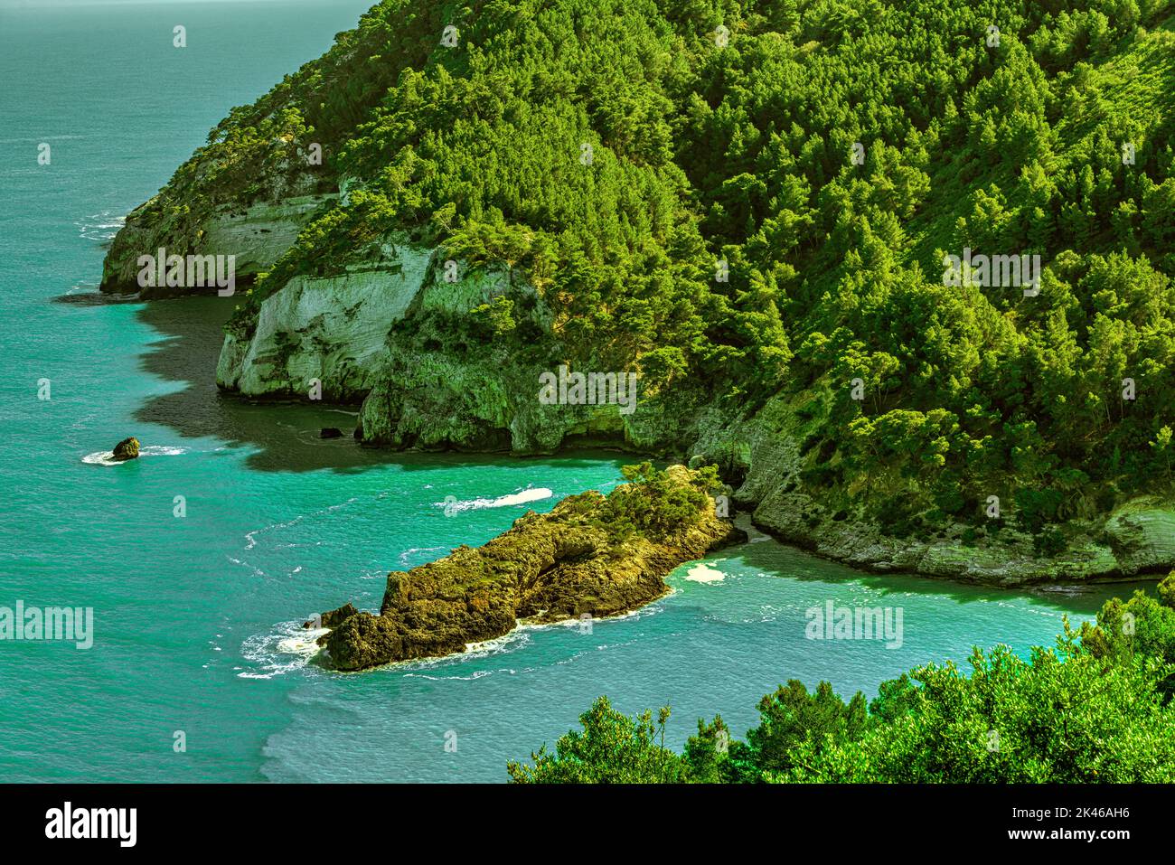 La baia e le scogliere di Cala di Porto Greco nella penisola del Gargano vista dalla Torre dell'Aglio. Gargano, Puglia, Italia, Europa Foto Stock