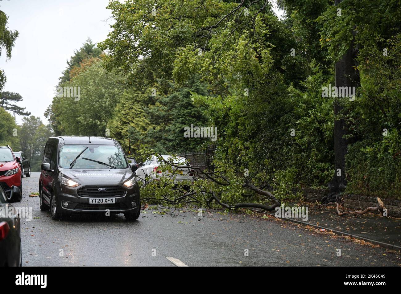 Edgbaston, Birmingham - 30th 2022 settembre - i driver negoziano un ramo dell'albero giù su Harrison Road in Edgbaston durante i venti forti e la pioggia che hanno colpito il paese. PIC Credit: Scott CM/Alamy Live News Foto Stock