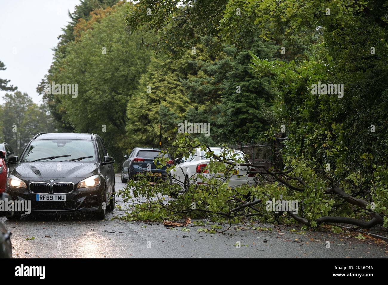 Edgbaston, Birmingham - 30th 2022 settembre - i driver negoziano un ramo dell'albero giù su Harrison Road in Edgbaston durante i venti forti e la pioggia che hanno colpito il paese. PIC Credit: Scott CM/Alamy Live News Foto Stock