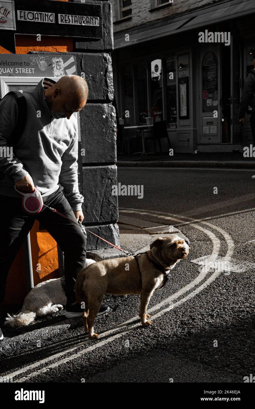 uomo con cane alla luce del sole Foto Stock