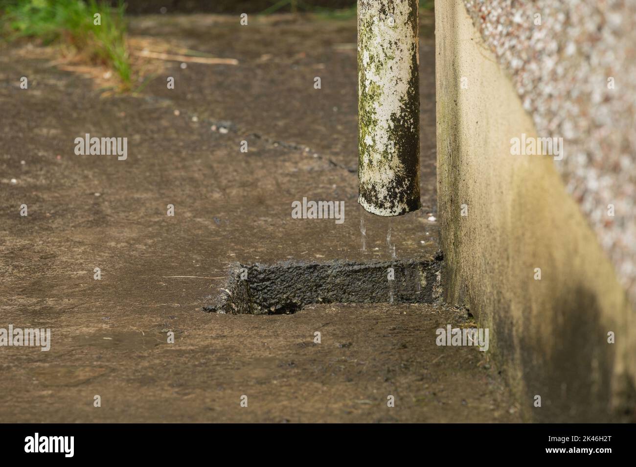 L'acqua piovana proveniente dal gocciolatoio del tetto si scarica nel sistema di drenaggio delle acque superficiali Foto Stock