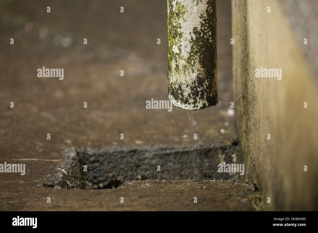 L'acqua piovana proveniente dal gocciolatoio del tetto si scarica nel sistema di drenaggio delle acque superficiali Foto Stock