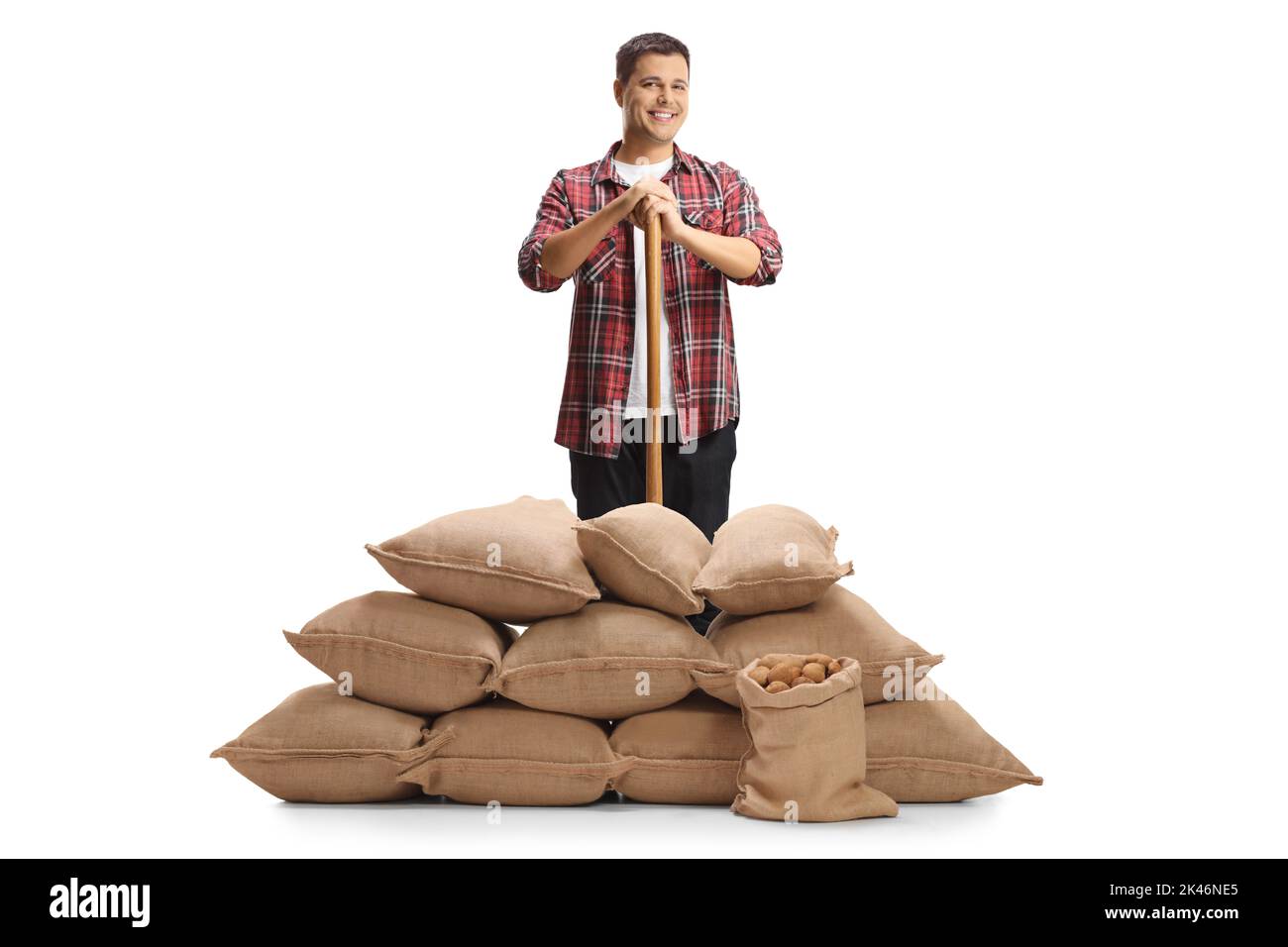 Ritratto a tutta lunghezza di un agricoltore maschio con una pala in piedi dietro sacchi di burlap con patate isolate su uno sfondo bianco Foto Stock