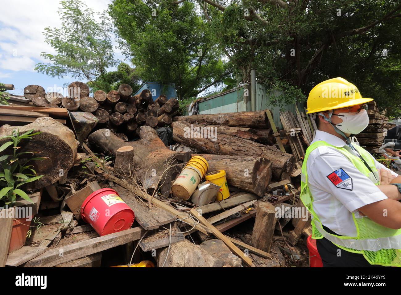 Il dipartimento delle terre e gli ufficiali di polizia bloccano la segheria e il legname di Chi Kee come un nuovo piano di sviluppo posto dal governo nel sito di Kwu Tung a Sheung Shui. 27SEP22 SCMP/Jelly TSE Foto Stock