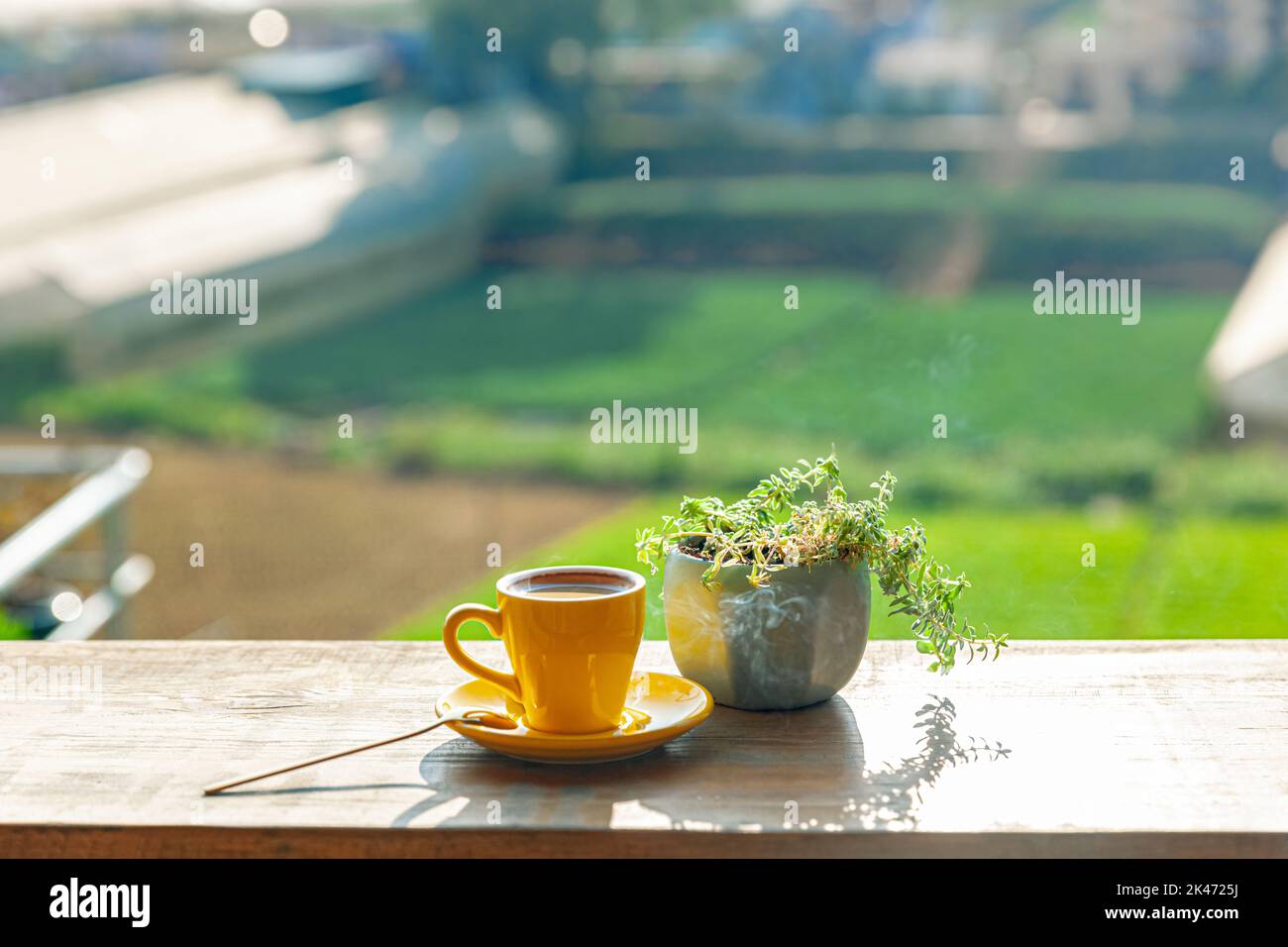 Una tazza di caffè caldo è accanto ad una pianta in vaso su un tavolo di legno, alla luce del sole del pomeriggio Foto Stock
