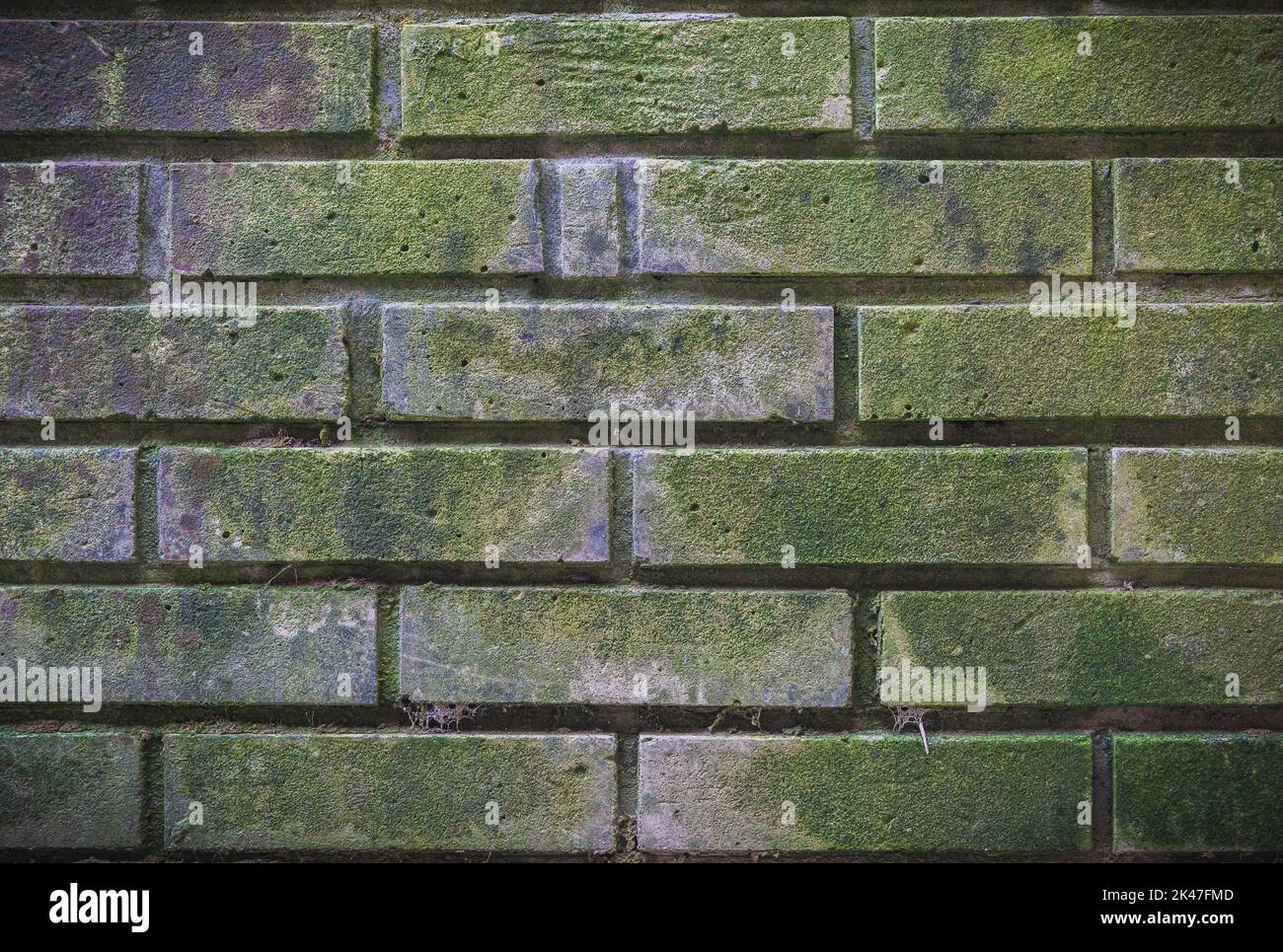Vecchio muro di mattoni, verde e mossy con l'età Foto Stock