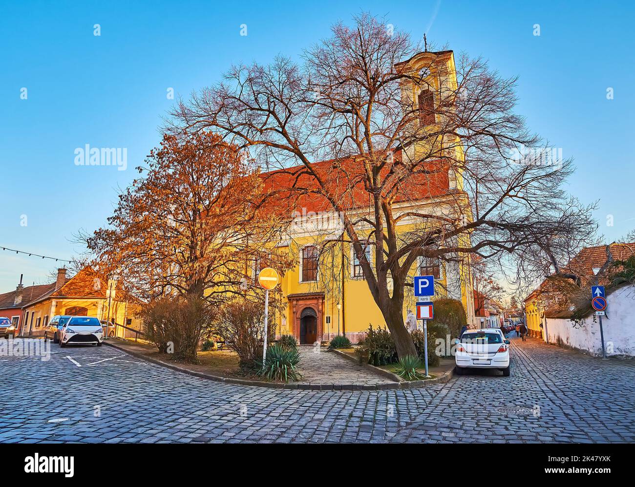 Chiesa storica di San Pietro e Paolo con alti alberi sparsi in primo piano, via Pietro Pal, Szentendre, Ungheria Foto Stock