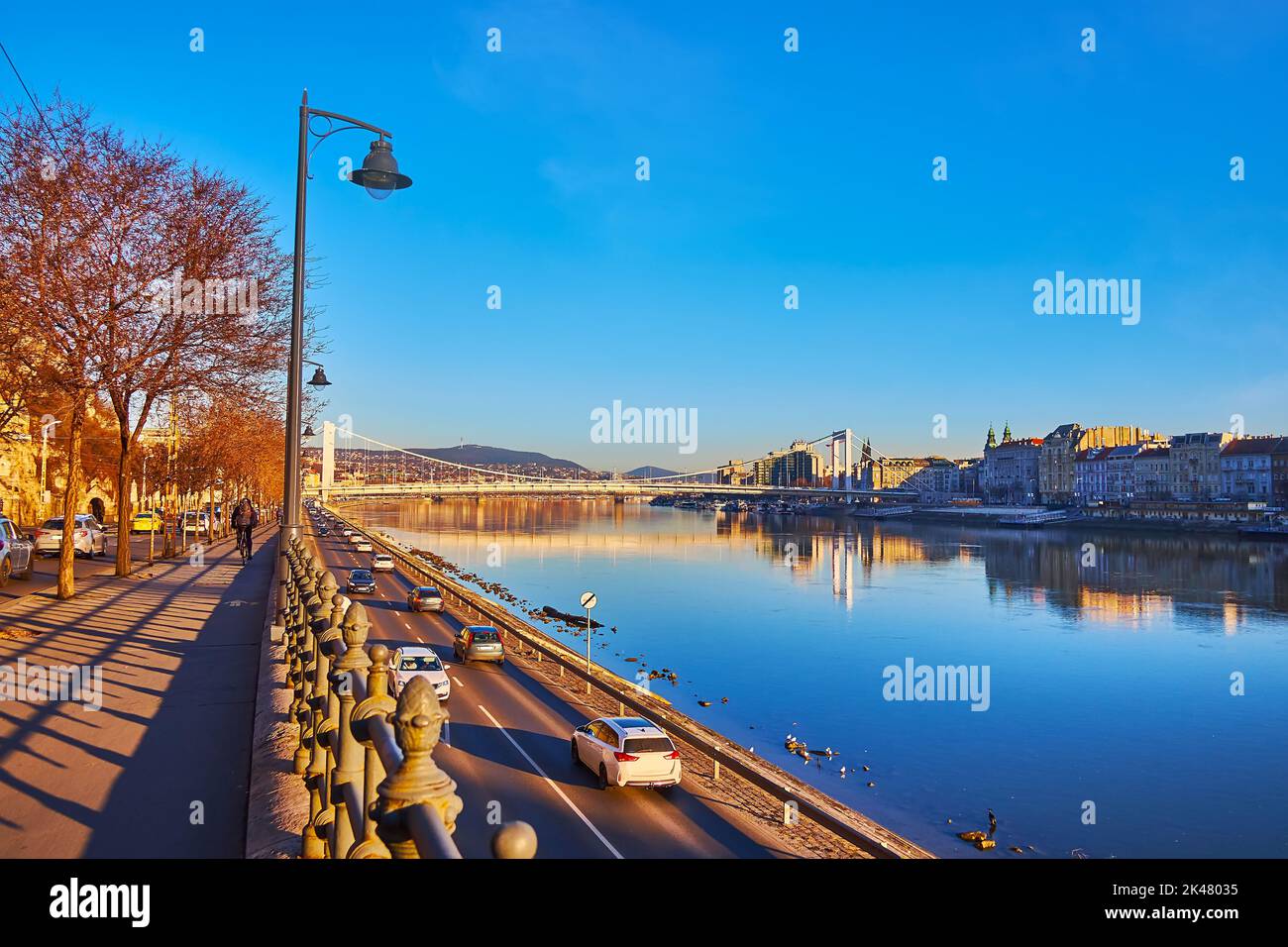 Il suggestivo Ponte di Elisabetta bianco al mattino, che si riflette sulle acque del Danubio, Budapest, Ungheria Foto Stock