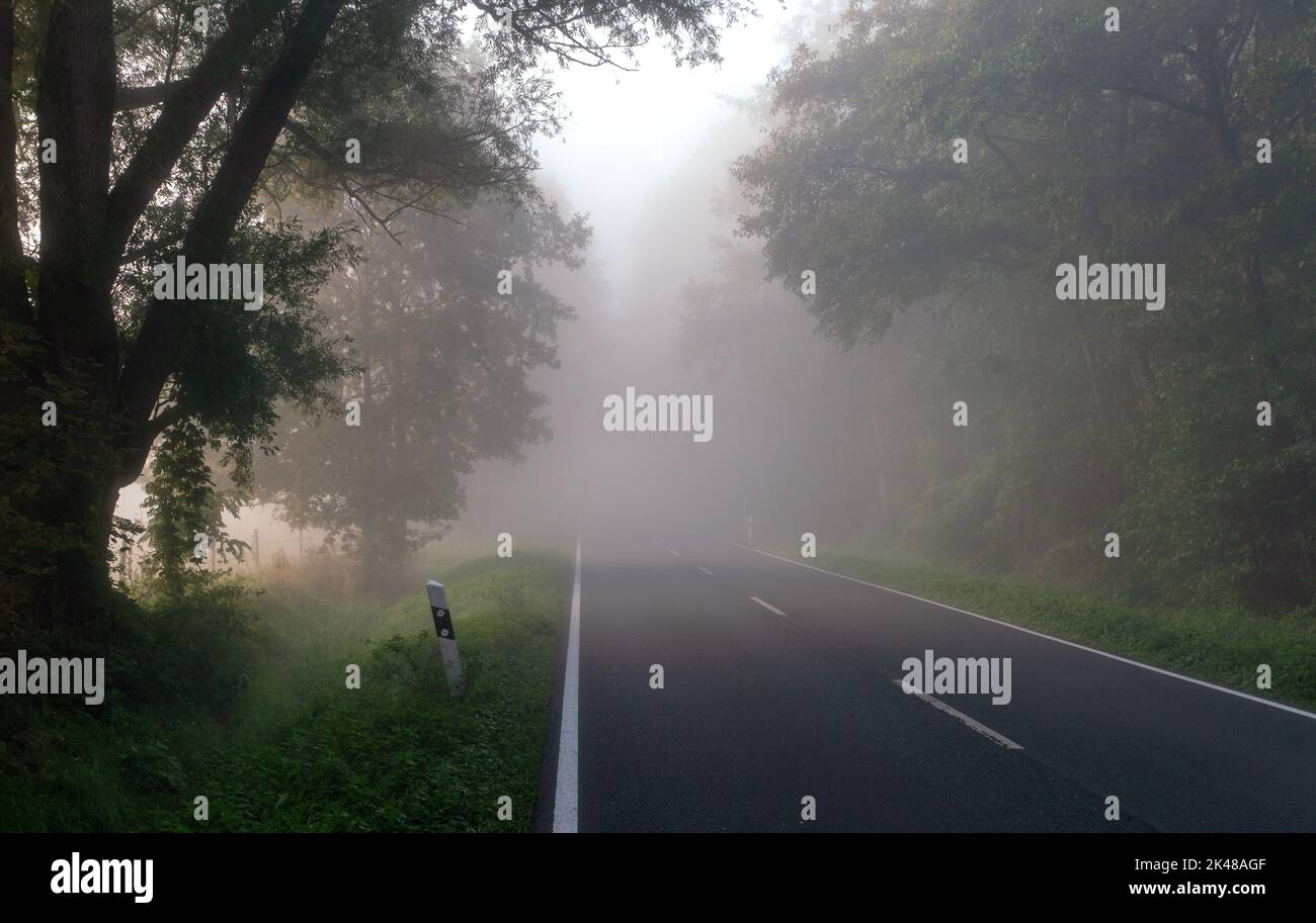 Straße zw Lipperode und Lipperbruch im Nebel Foto Stock