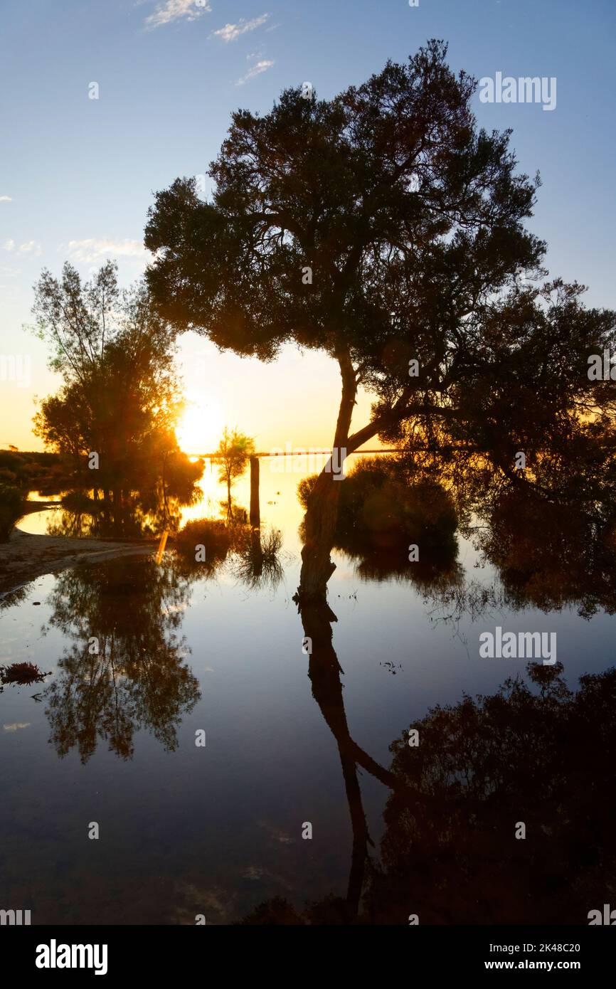 Lago Ninan sale lago al tramonto, Wongan Hills, Australia Occidentale Foto Stock
