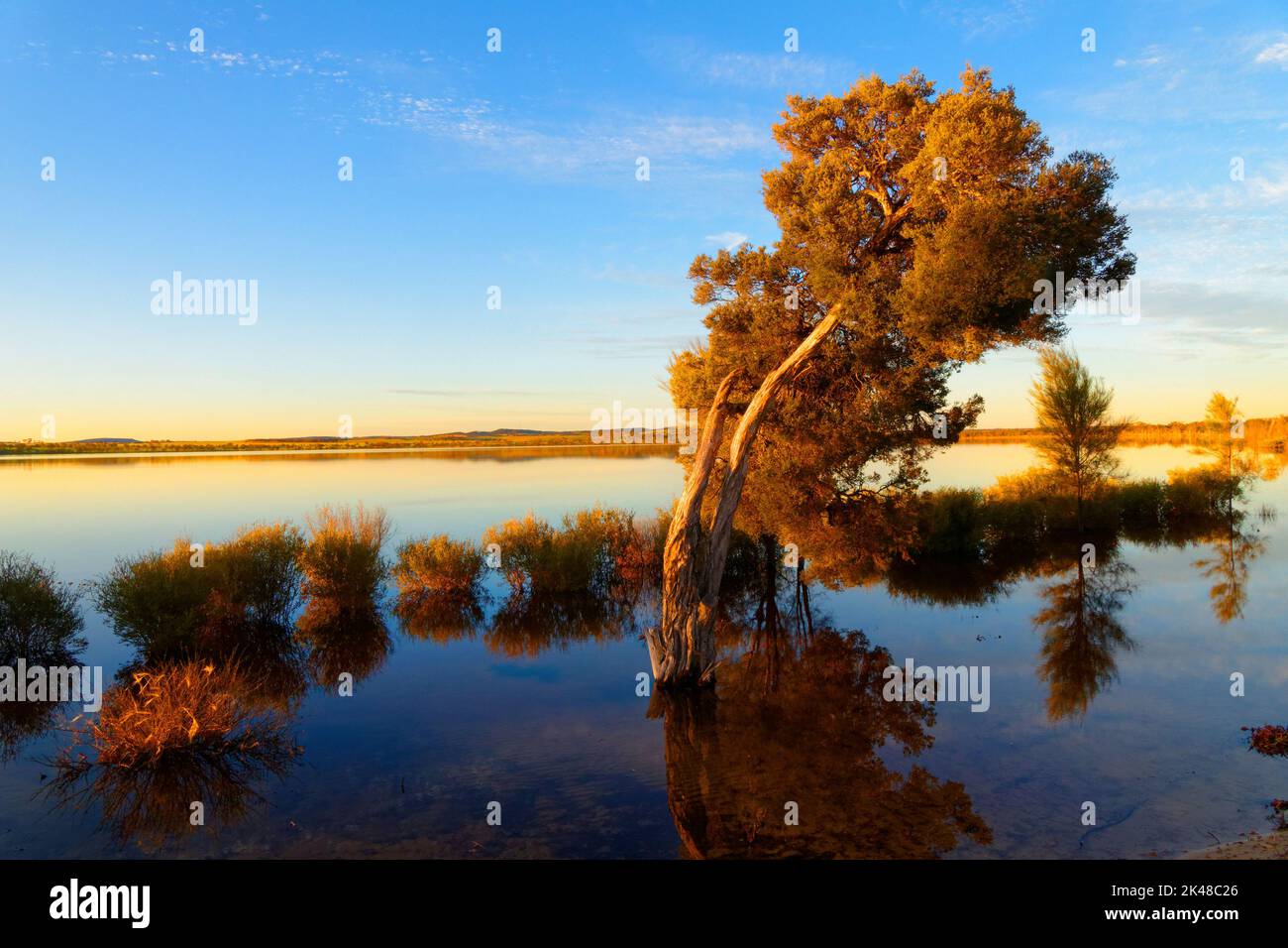 Lago Ninan sale lago al tramonto, Wongan Hills, Australia Occidentale Foto Stock