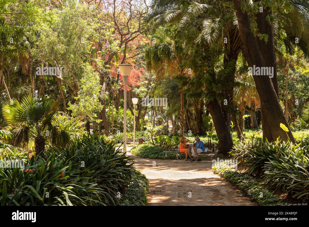 Parco cittadino con giardini botanici, Paseo del Parque a Málaga in Spagna. Foto Stock