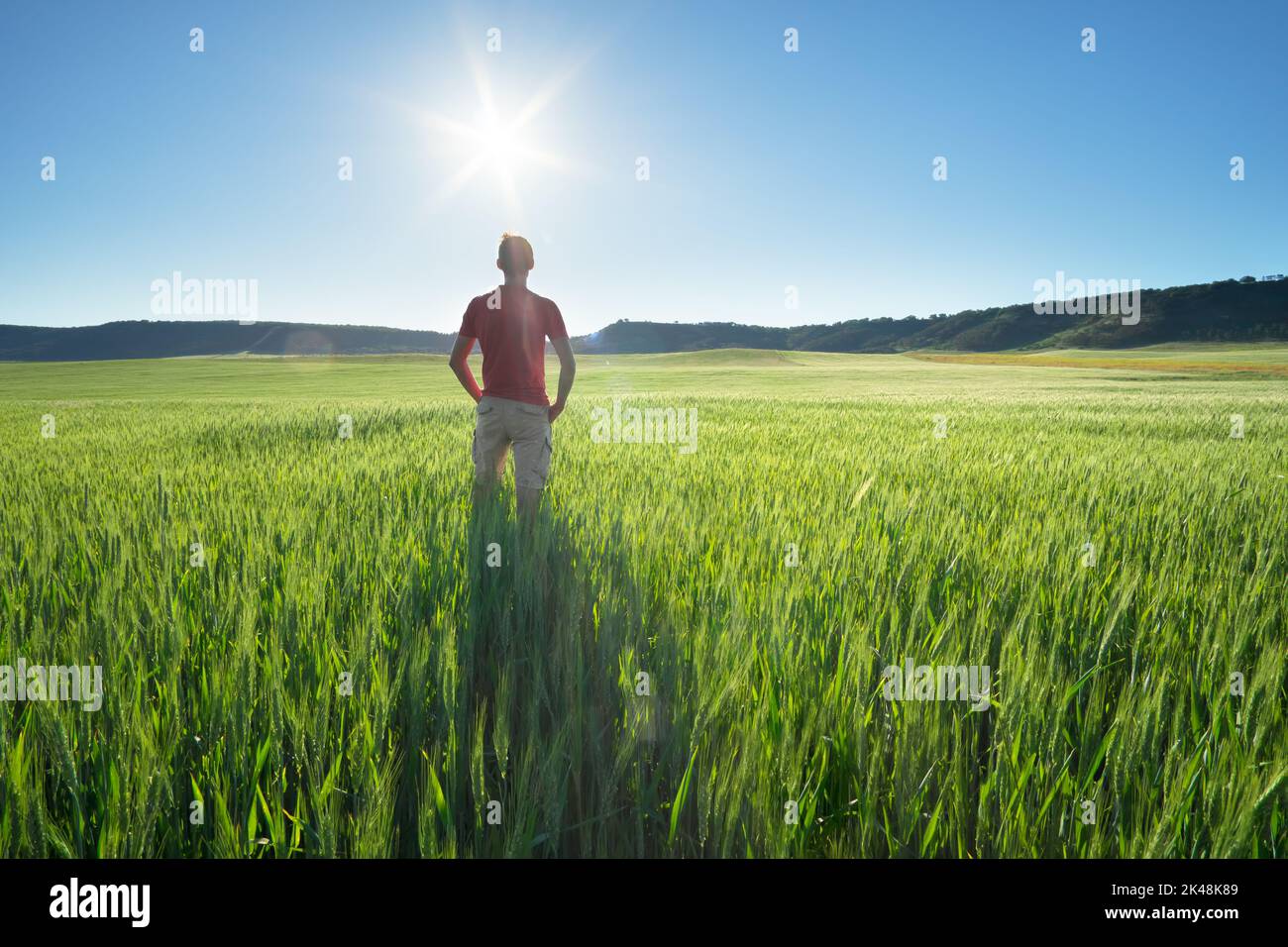 Uomo in prato verde prato di grano. Scena concettuale. Foto Stock