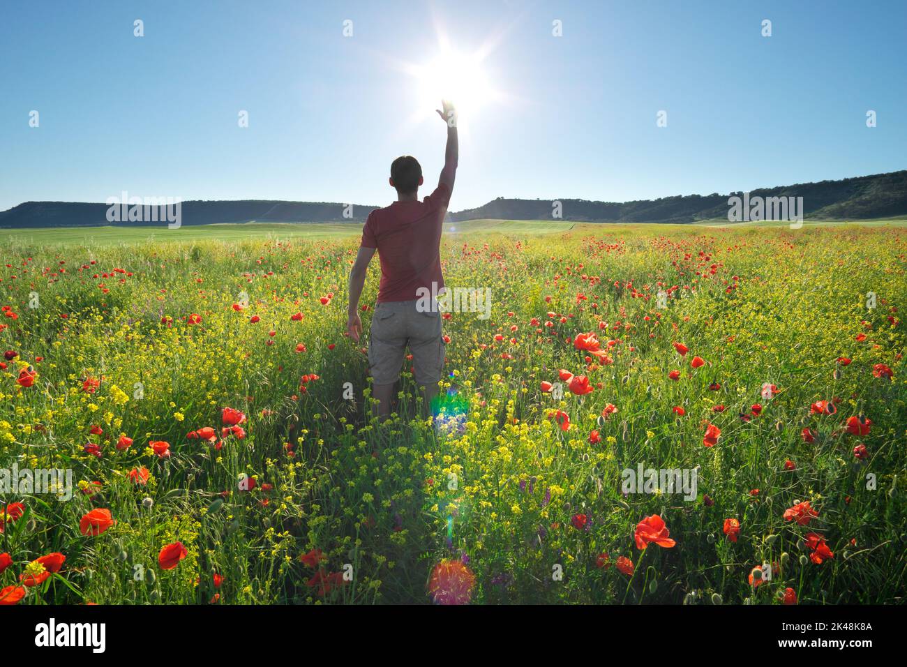 Uomo in primavera prato di papavero raggiungere il sole. Felice emotivo, religione e scena concettuale. Foto Stock