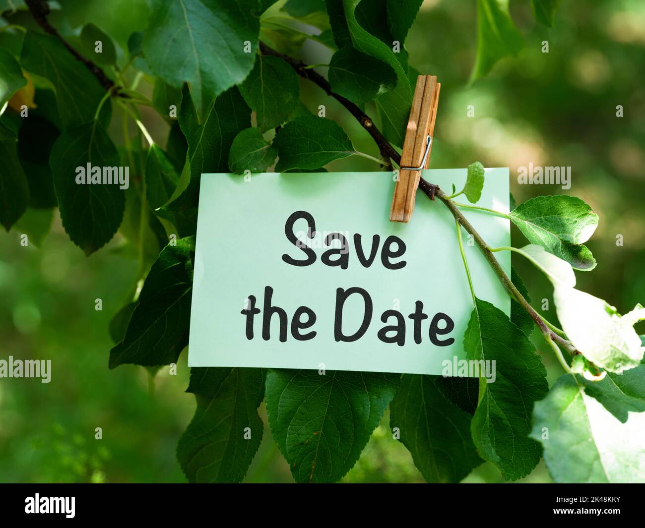 Una nota di carta verde con le parole Salva la data che sono appese su un ramo ad albero. Primo piano. Foto Stock