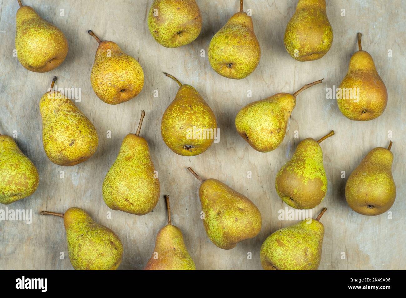 Pere su uno sfondo di legno. Raccolta di frutta. Autunno ancora vita. Pear Variety Bera Conference. Cibo vitaminico. Foto Stock