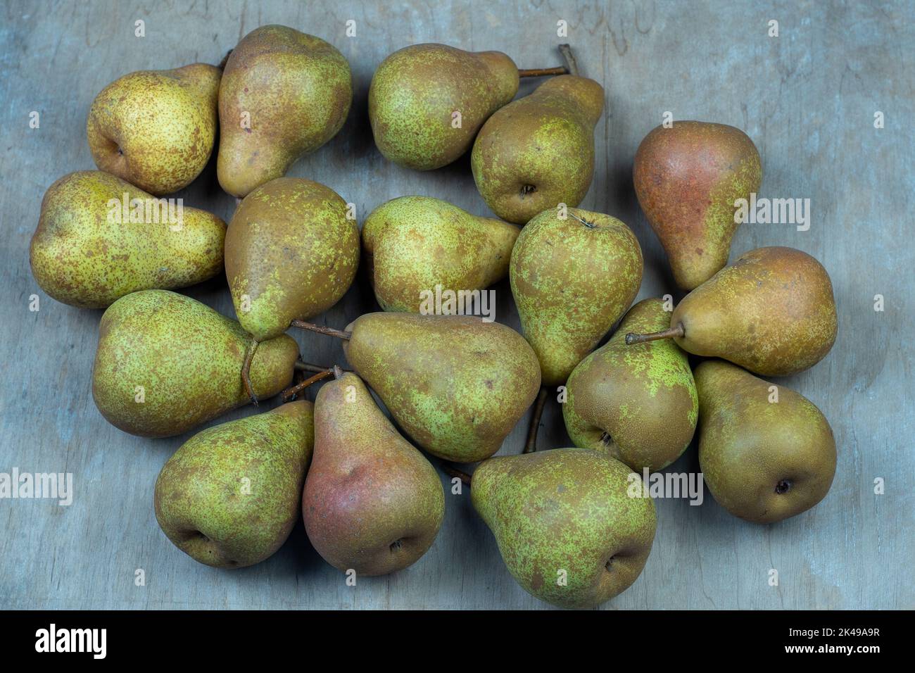 Pere su uno sfondo di legno. Raccolta di frutta. Autunno ancora vita. Pear Variety Bera Conference. Cibo vitaminico. Foto Stock
