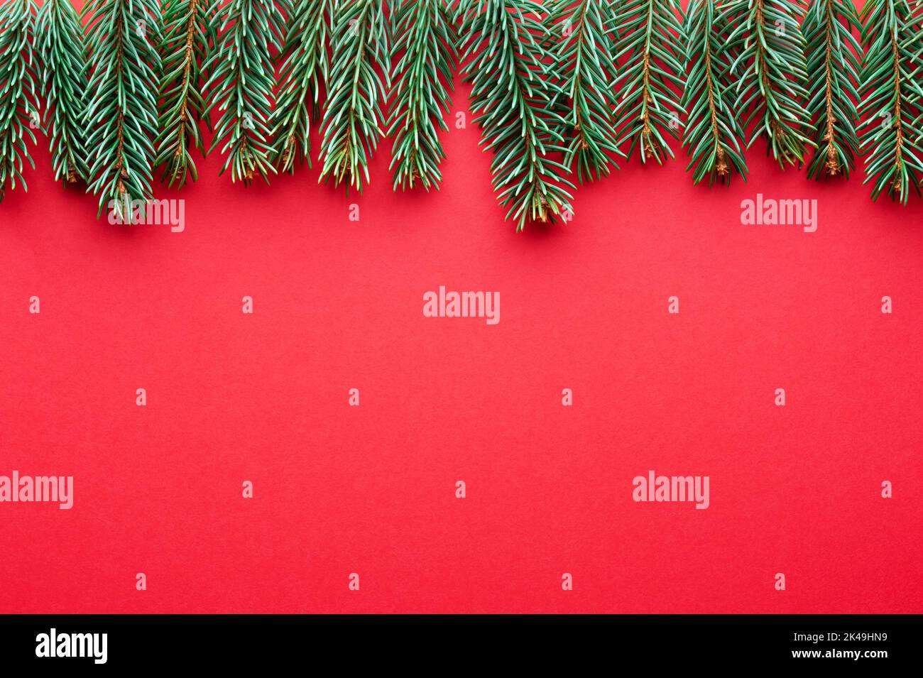 Sfondo creativo delle vacanze di Natale con rametti di abete su sfondo di carta di cartone rosso. Disposizione piatta, vista dall'alto, spazio di copia Foto Stock