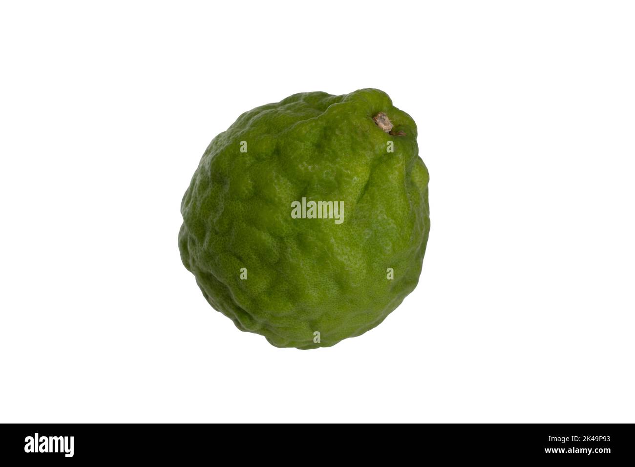 Il kaffir asiatico lime su sfondo bianco, utilizzato nella cucina tailandese e indonesiana. Foto Stock