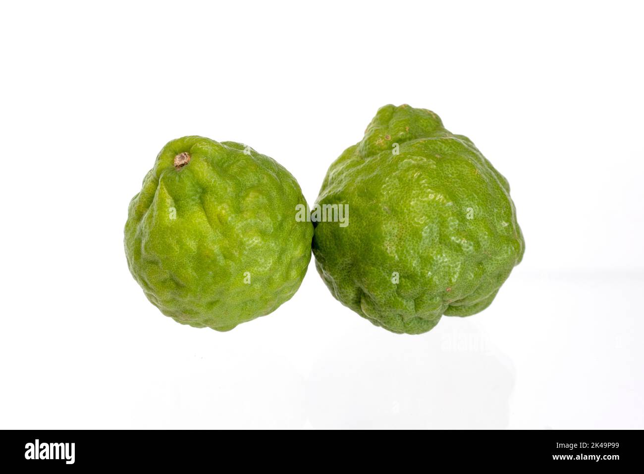 Il kaffir lime gli agrumi del sud-est asiatico con frutta verde e foglie aromatiche su sfondo bianco. Foto Stock