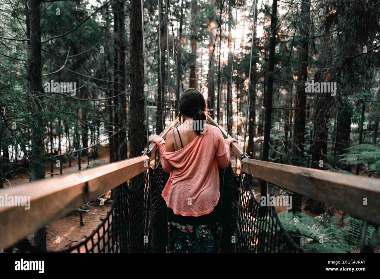 ragazza caucasica dal retro in una t-shirt rossa e con un ponytail nei capelli calmly camminando lungo la passerella di legno tra gli alberi nella foresta Foto Stock