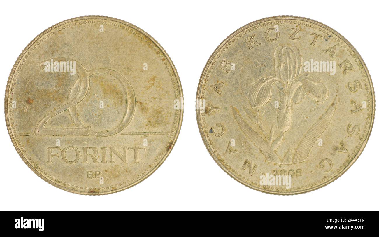 20 moneta ungherese di Forint (HUF) con entrambi i lati su fondo bianco isolato Foto Stock