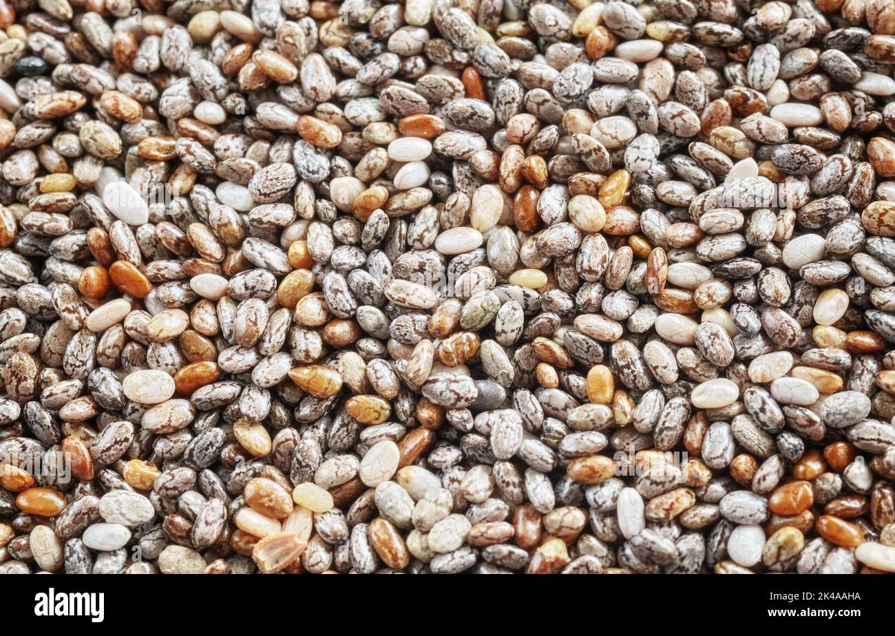 Primo piano immagine di semi di chia, astratto sfondo alimentare naturale. Foto Stock