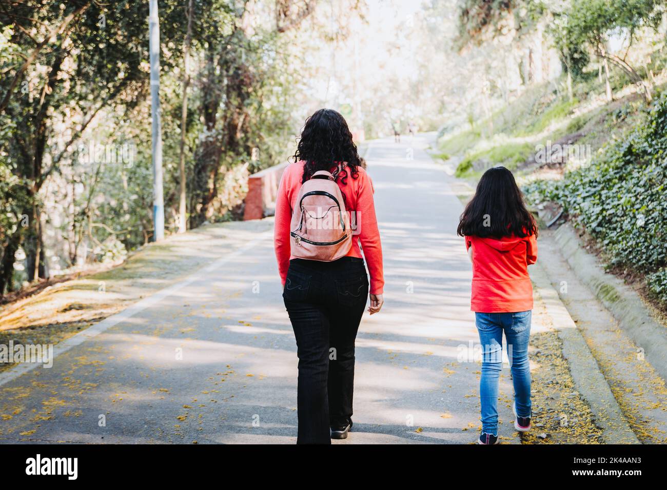 Vista posteriore di una madre e di sua figlia che cammina lungo la strada del parco Foto Stock