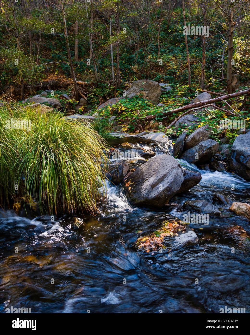 Cascata che passa attraverso grandi massi all'Oak Creek Canyon a Sedona, Arizona, Stati Uniti Foto Stock