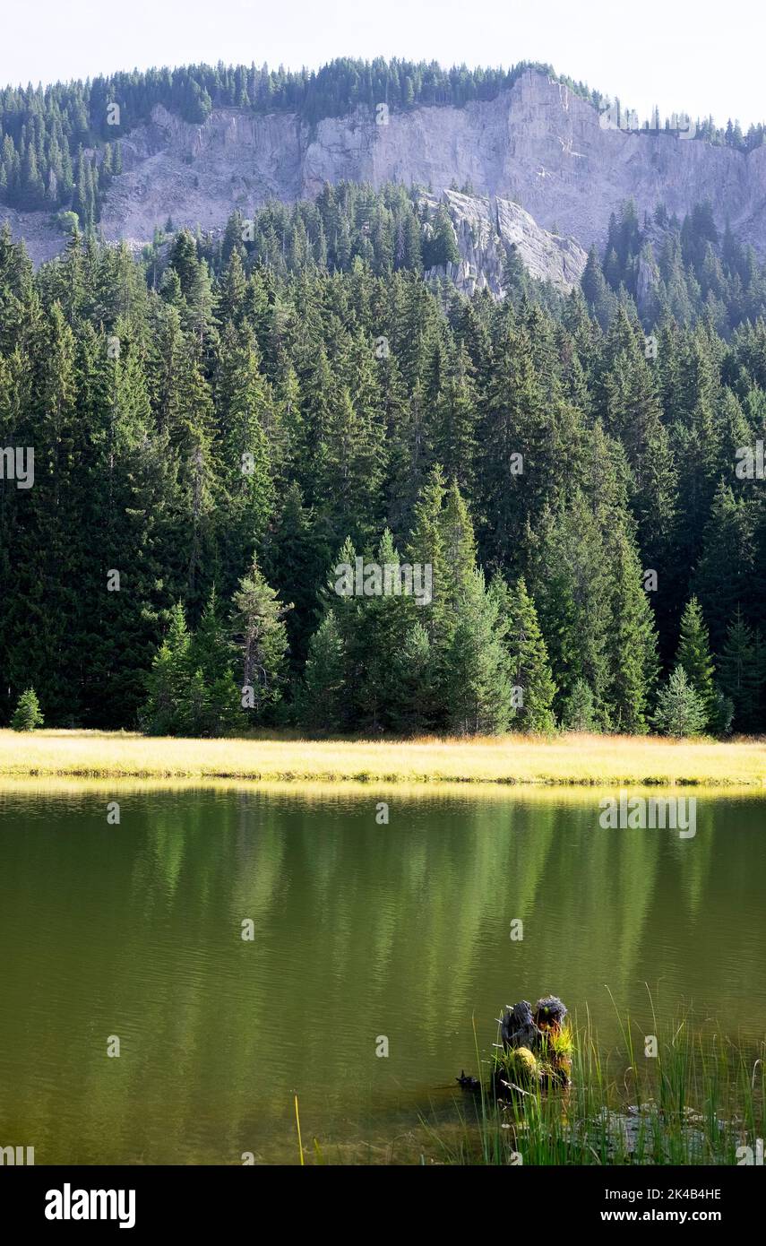 I laghi di Smolyan si trovano sul versante sinistro della valle del fiume Cherna e del picco di Snezhanka, i monti Rhodopi della Bulgaria Foto Stock