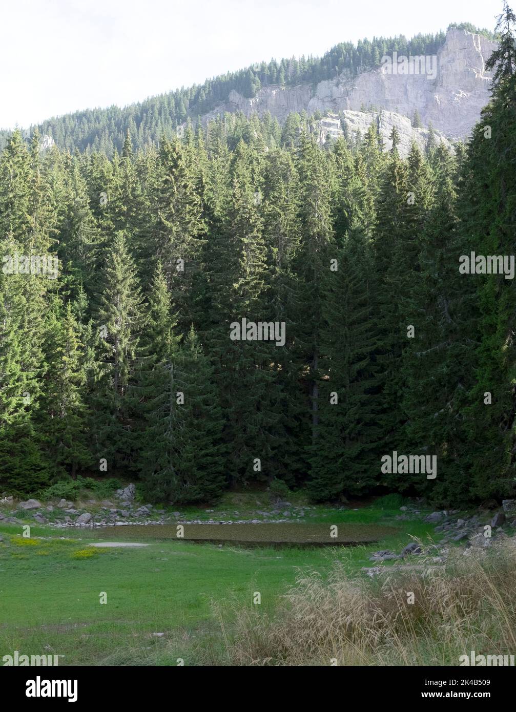 I laghi di Smolyan si trovano sul versante sinistro della valle del fiume Cherna e del picco di Snezhanka, i monti Rhodopi della Bulgaria Foto Stock