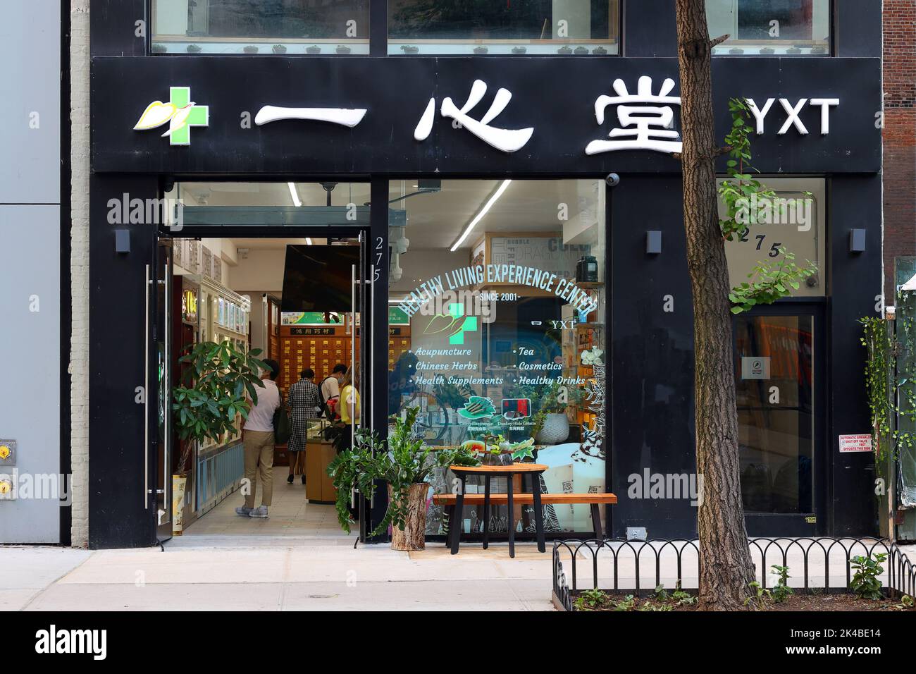 YXT Herbals 一心堂, 275 5th Ave, New York, New York, NYC foto di un negozio cinese di erbe medicinali a Midtown Manhattan. 紐約 Foto Stock