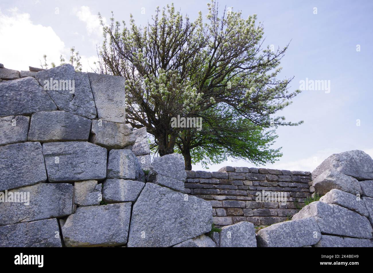 Enormi blocchi calcarei che fortificarono l'intera area del sito archeologico di Pietrabbondante. Molise - Italia Foto Stock